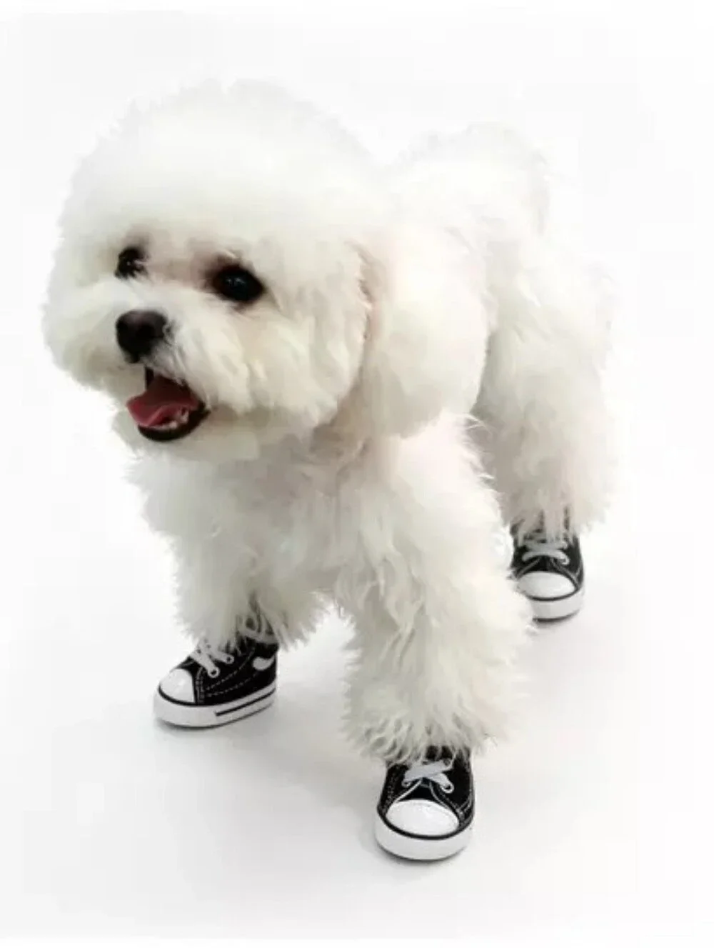 NWT Pink Cabana Co Dog Black High-Top Tennis Shoes 4 Pk Size Small